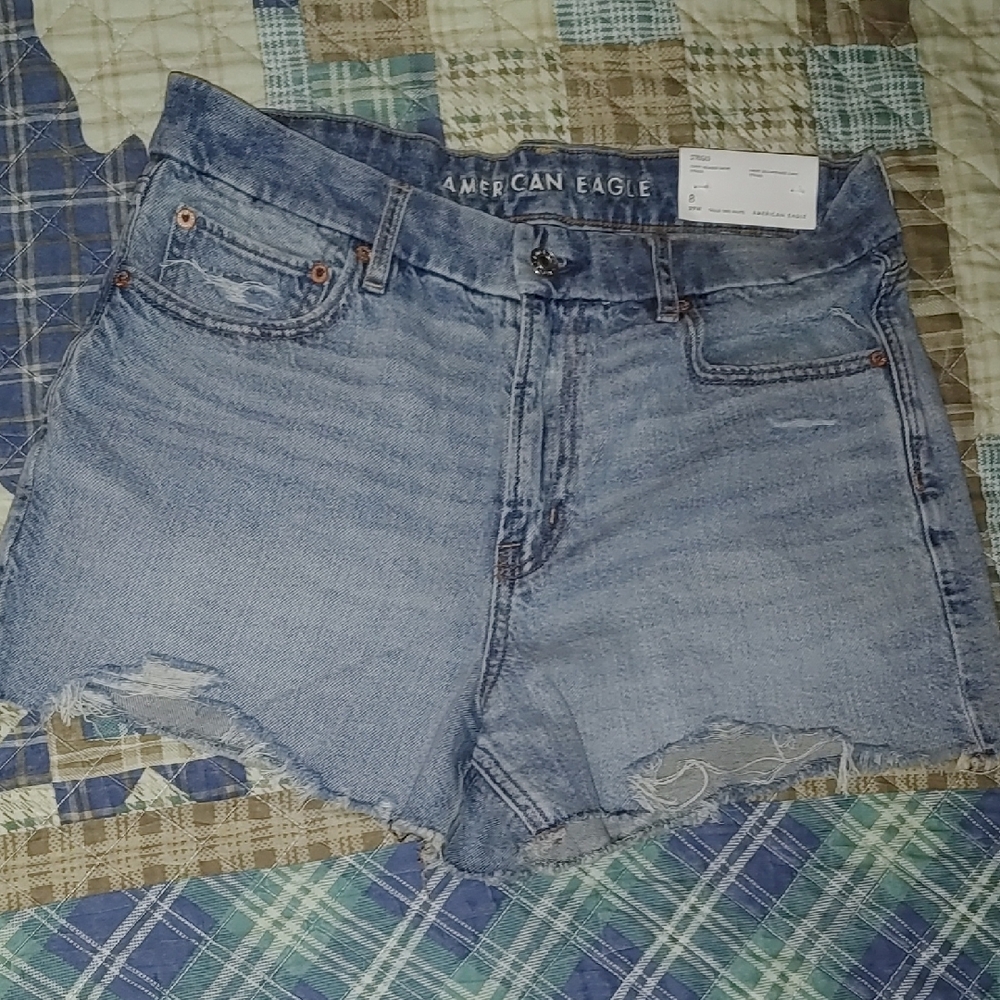 American Eagle Outfitters Light Blue Jean Shorts